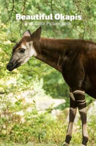 Cover of Beautiful Okapis Full-Color Picture Book