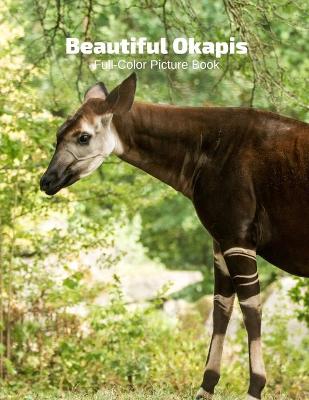 Book cover for Beautiful Okapis Full-Color Picture Book