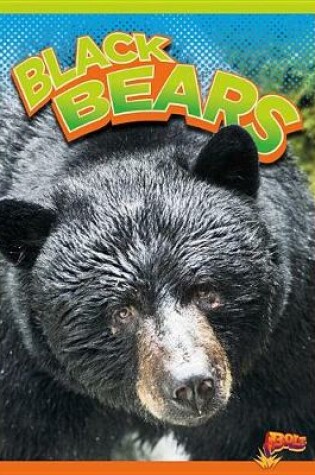 Cover of Black Bears