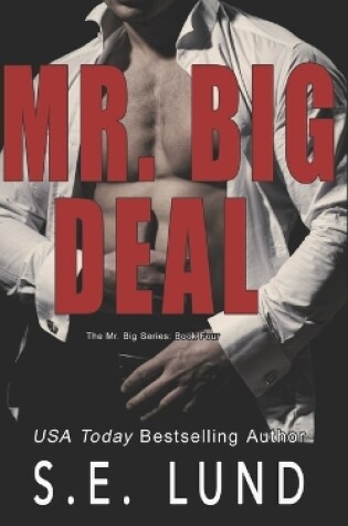 Cover of Mr. Big Deal