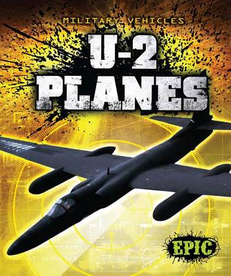 Book cover for U-2 Planes