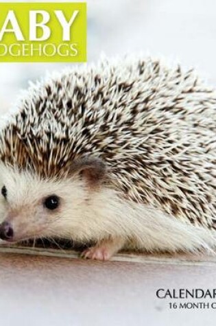 Cover of Baby Hedgehogs Calendar 2017