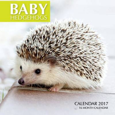 Book cover for Baby Hedgehogs Calendar 2017