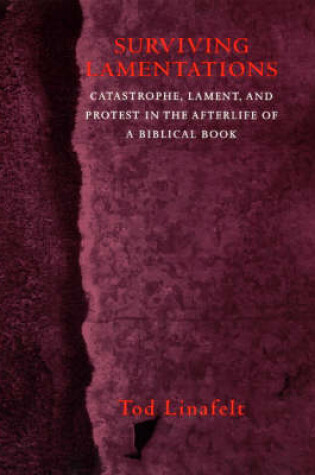 Cover of Surviving Lamentations