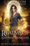 Book cover for Realms of Lightning and Dragons