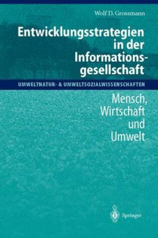 Cover of Entwicklungsstrategien in Der Informationsgesellschaft