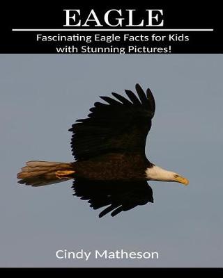 Book cover for Eagle