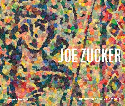Book cover for Joe Zucker
