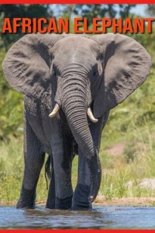 Cover of African Elephant