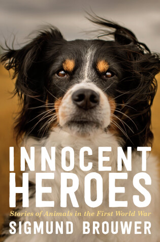 Cover of Innocent Heroes