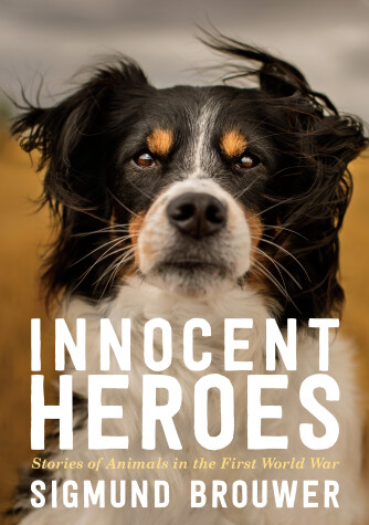 Book cover for Innocent Heroes