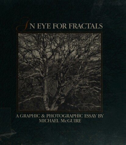 Cover of An Eye for Fractals