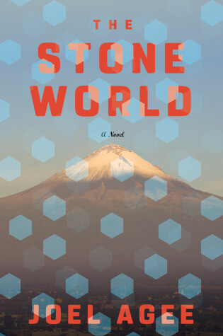 Cover of The Stone World