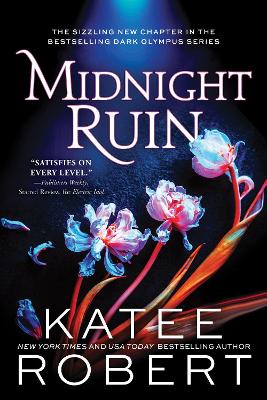 Book cover for Midnight Ruin