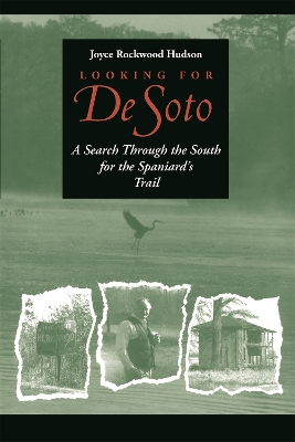 Book cover for Looking for De Soto