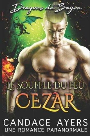 Cover of Le Souffle du Feu