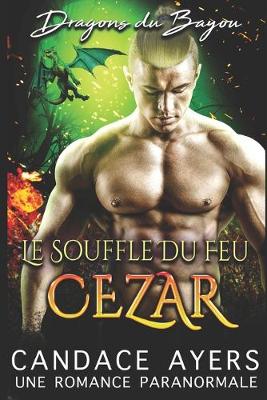 Cover of Le Souffle du Feu