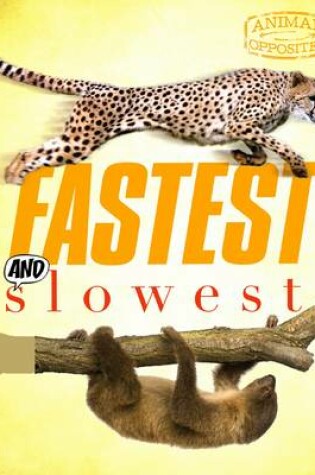 Cover of Fastest and Slowest