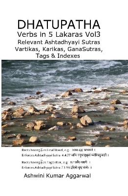 Book cover for Dhatupatha Verbs In 5 Lakaras Vol3