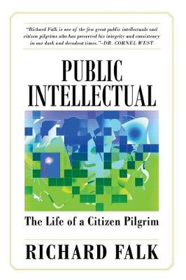 Book cover for Public Intellectual