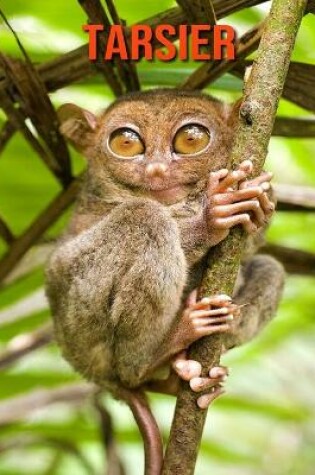 Cover of Tarsier