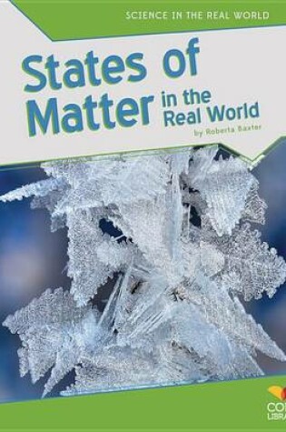 Cover of States of Matter in the Real World