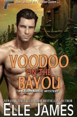 Cover of Voodoo on the Bayou