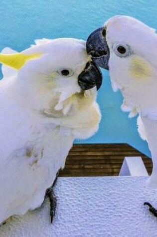 Cover of A Pair of Cockatoo Parrots on a Boat Journal