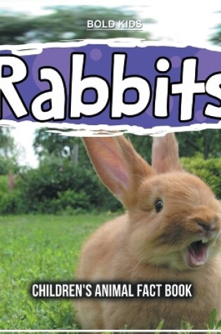 Cover of Rabbits