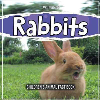 Book cover for Rabbits