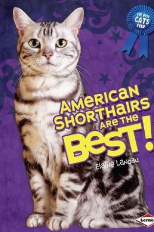 Cover of American Shorthairs Are the Best!