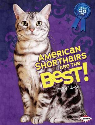 Book cover for American Shorthairs Are the Best!