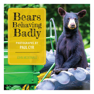 Book cover for Bears Behaving Badly