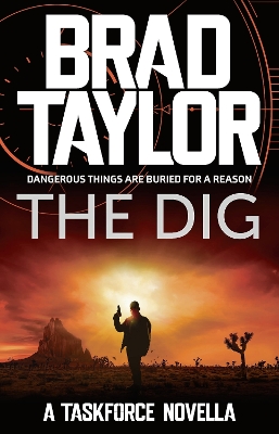 Book cover for The Dig