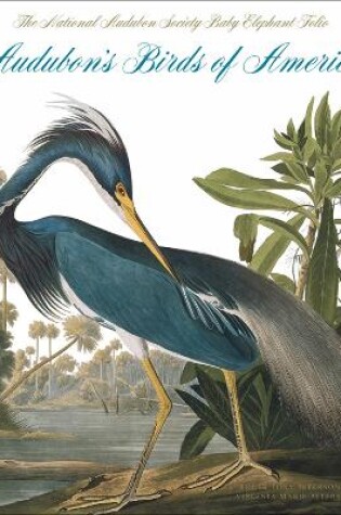 Cover of Audubon's Birds of America