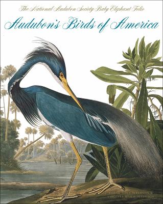 Book cover for Audubon's Birds of America