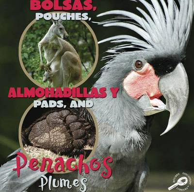 Book cover for Bolsas, Almohadillas y Penachos (Pouches, Plads, and Plumes)