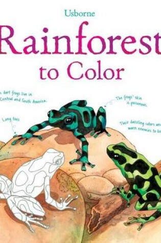 Cover of Rainforest to Color