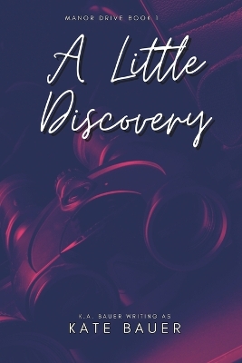 Book cover for A Little Discovery