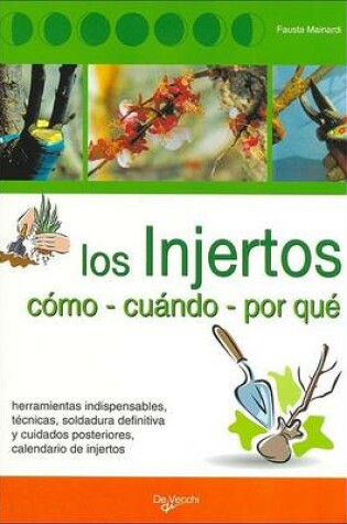 Cover of Injertos, Los - Como Cuando Por Que