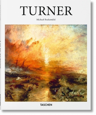 Book cover for Turner