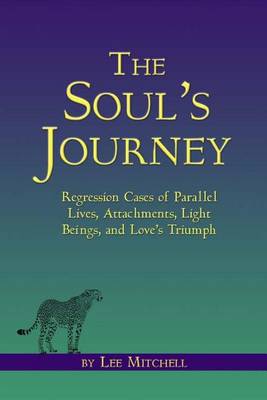 Book cover for The Soul's Journey