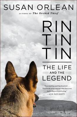 Book cover for Rin Tin Tin Enhanced eBook