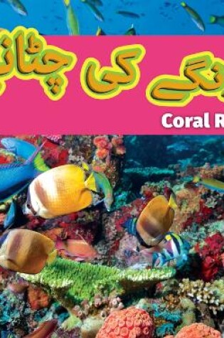 Cover of Coral Reefs (Urdu)/مونگے کی چٹانیں