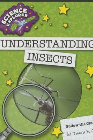 Cover of Understanding Insects