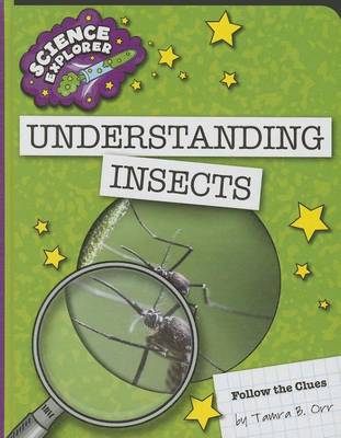 Book cover for Understanding Insects