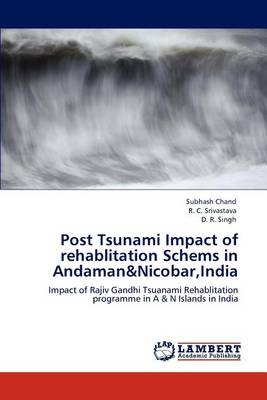 Book cover for Post Tsunami Impact of rehablitation Schems in Andaman&Nicobar, India