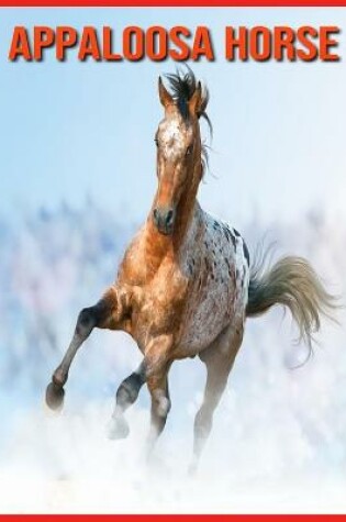 Cover of Appaloosa Horse