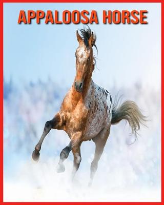 Book cover for Appaloosa Horse