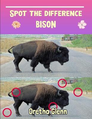 Book cover for Spot the difference Bison